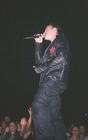 bono sing brum c.JPG