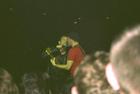 IMG0006.jpg