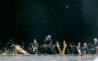 Photo by Barbara Cartaya / barbarooster@msn.com