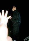 Photo by Barbara Cartaya / barbarooster@msn.com