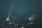 Photo by Luisa / weezmcd@yahoo.ca