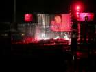Photo by Ronan Whelan / reslo@dodo.com.au