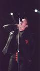Photo by Wendy Boland / U2001Elevation@aol.com