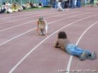 Photo by Martin Stieglmayer / U2005.com