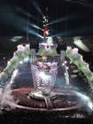Photo by Cyril / cyril.witthoff@googlemail.com