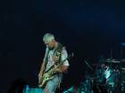 Photo by Cyril Witthoff / cyril.witthoff@googlemail.com
