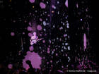 Photo by Matthias Muehlbradt / U2gigs.com