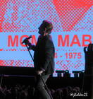 Photo by Julie Holden