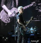 2017 - The Joshua Tree Tour 2017 /2017-05-12 - Vancouver (Photos by Julie Holden)