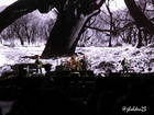Photo by Julie Holden