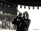 Photo by Julie Holden