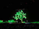 2017 - The Joshua Tree Tour 2017 /2017-06-14 - Tampa