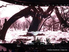 Photo by Matthias Muehlbradt / U2gigs.com