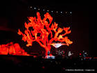 Photo by Matthias Muehlbradt / U2gigs.com