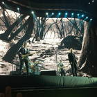 Photo by Jorge Takeda