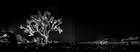 Photo by Ricardo Guimaraes